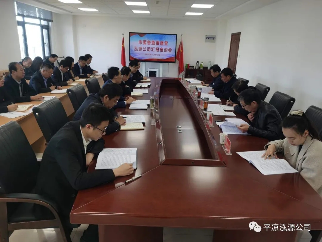 市委辦公室、市政府國資委督查泓源公司工作(圖4)